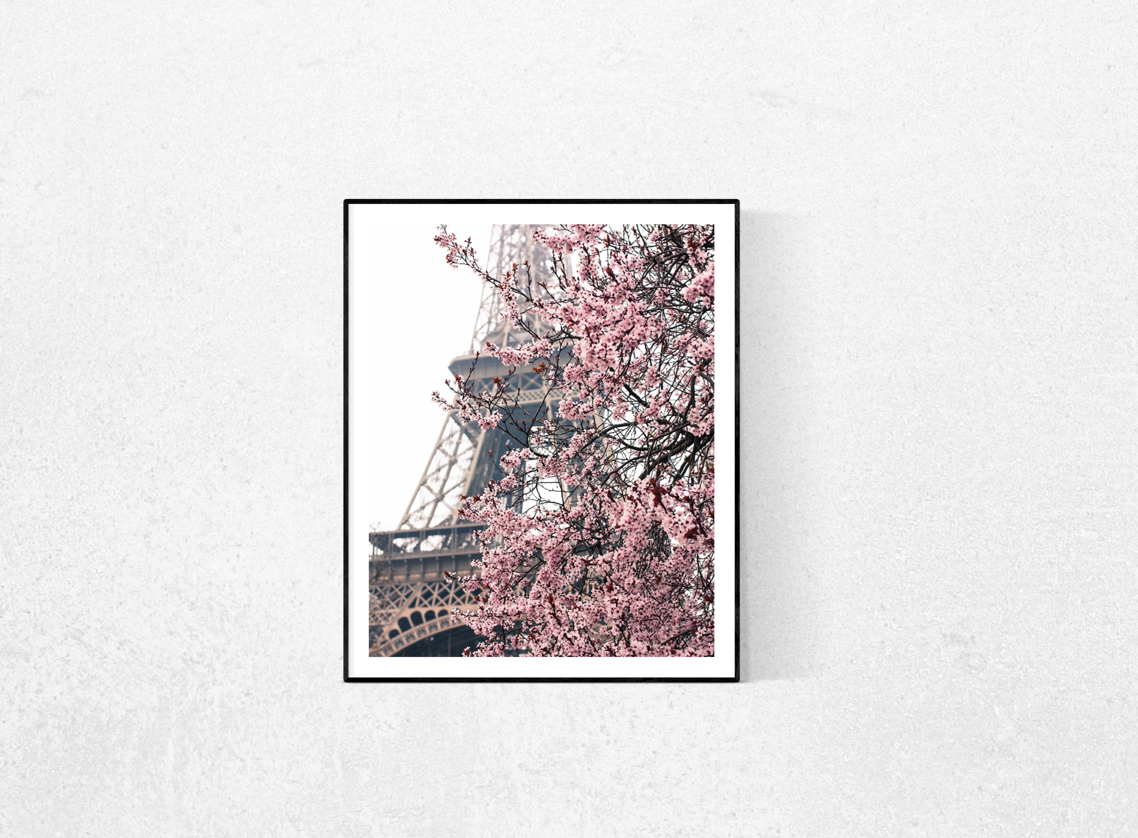 Pink Cherry Blossoms in front of the Eiffel Tower - Every Day Paris