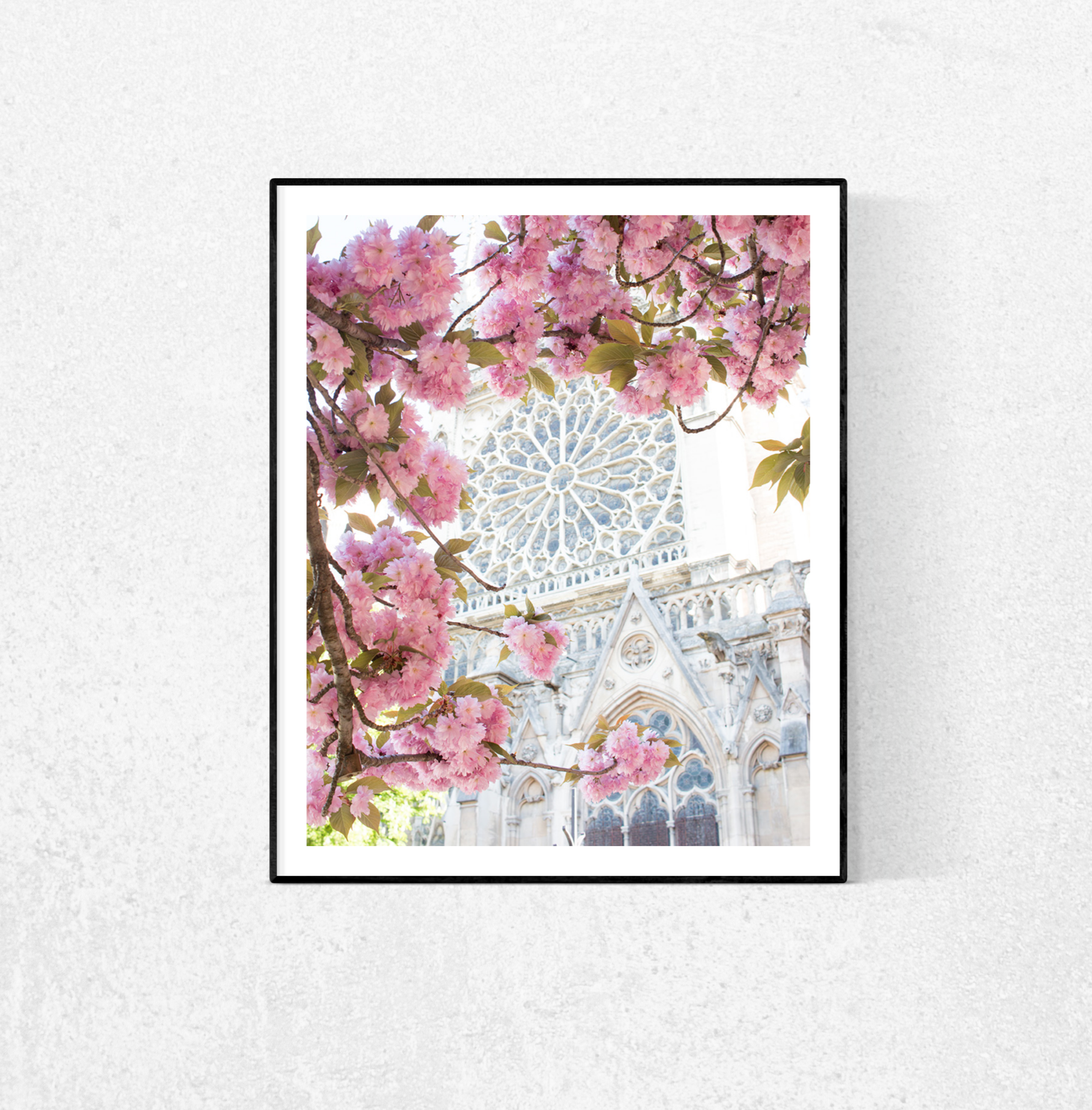 Paris in Bloom Cherry Blossom Season Notre Dame - Every Day Paris