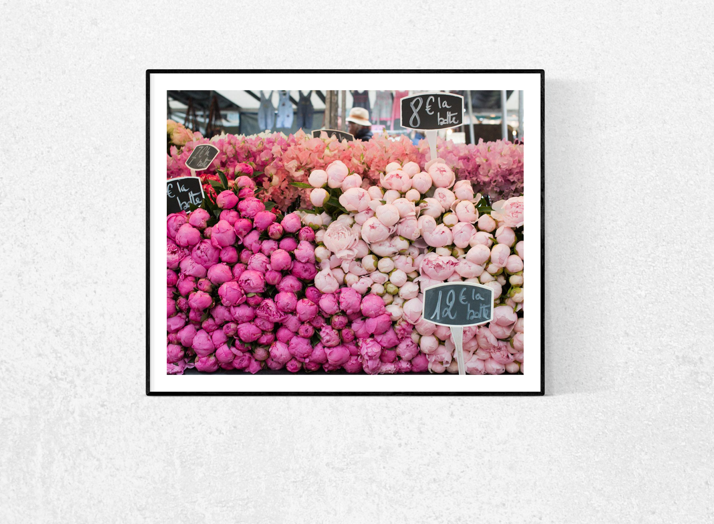 Paris Pink Peonies - Every Day Paris