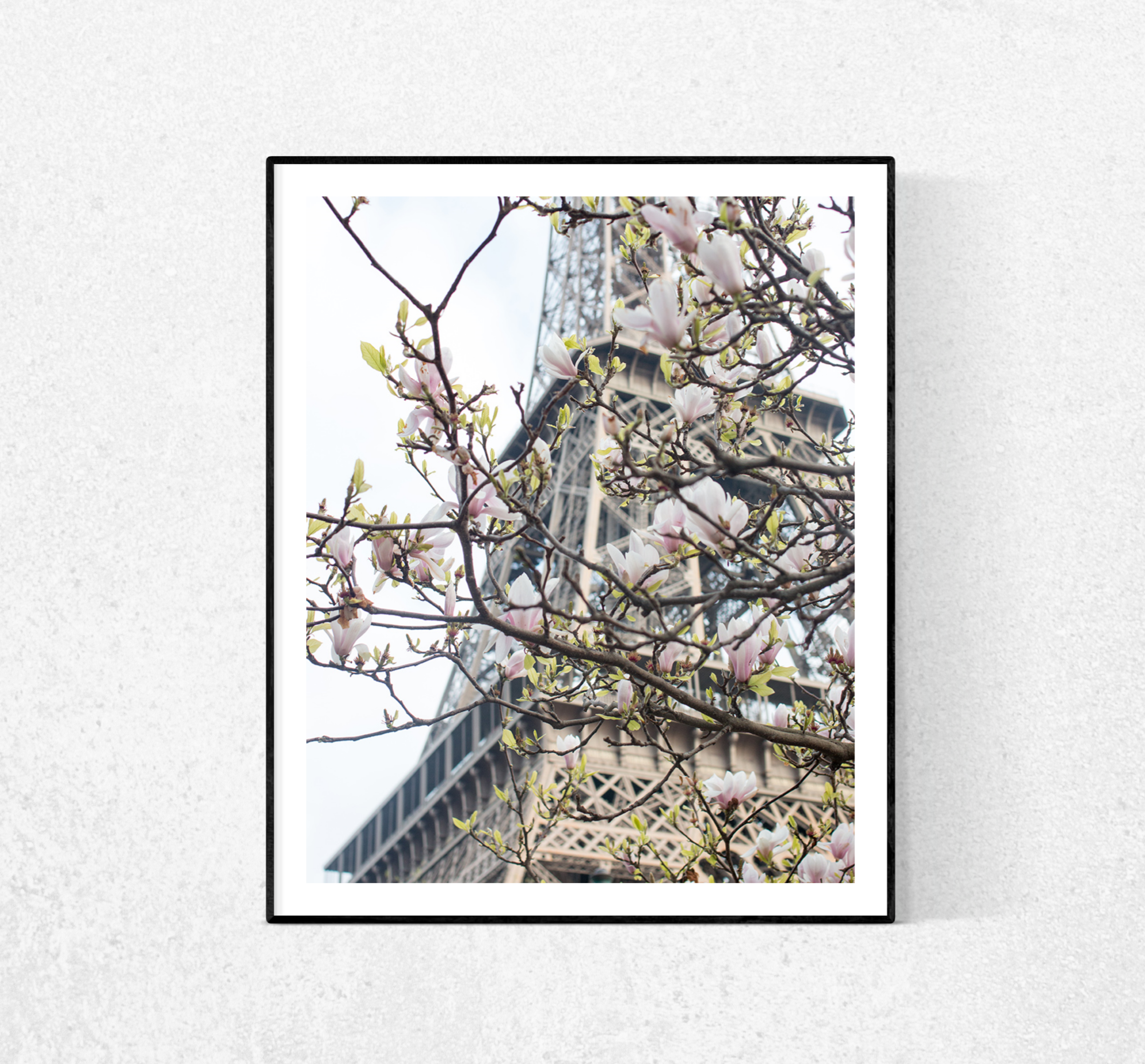 Spring Eiffel Tower in Bloom with Magnolias - Every Day Paris