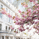 A Spring Weekend in London - Every Day Paris