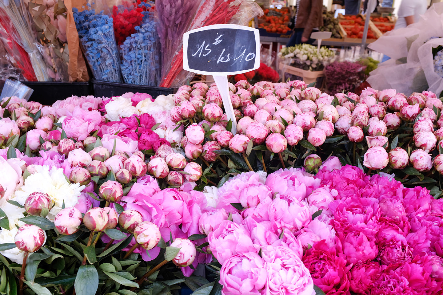 Pink Peonies for Sale in Nice France - Every Day Paris