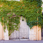 Summer in Grasse France #6 - Every Day Paris