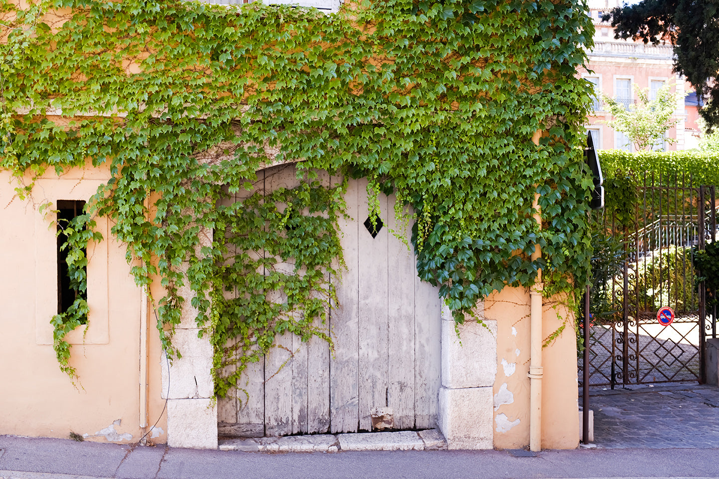 Summer in Grasse France #6 - Every Day Paris