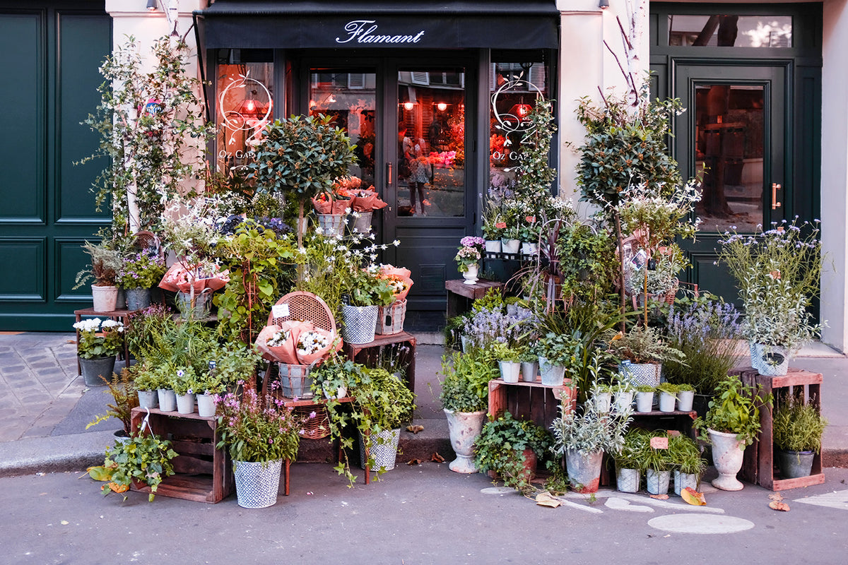 Summer Left Bank Flower Shop in Paris