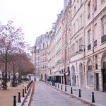 Fall in Place Dauphine - Every Day Paris
