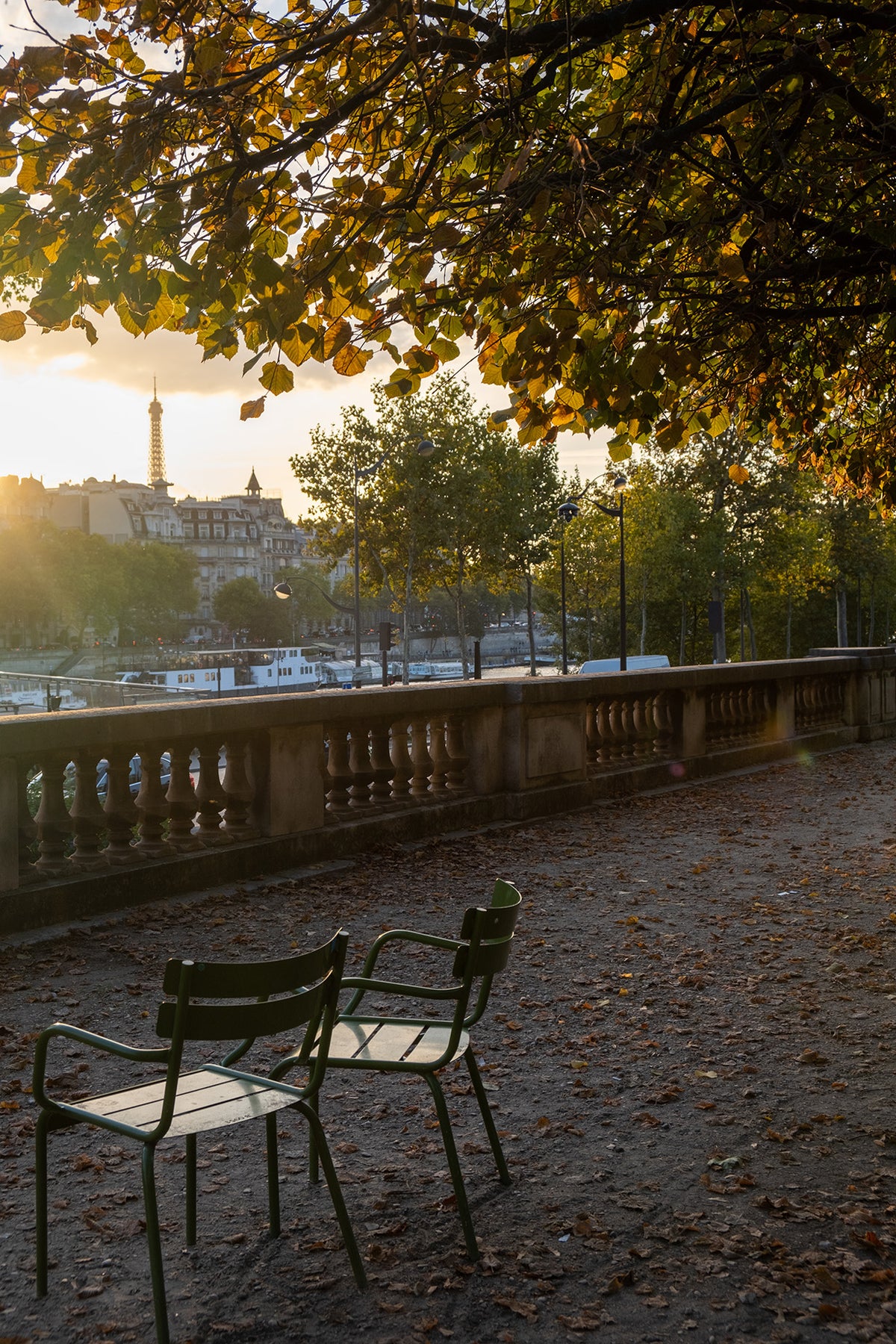 Autumn Tuileries Light