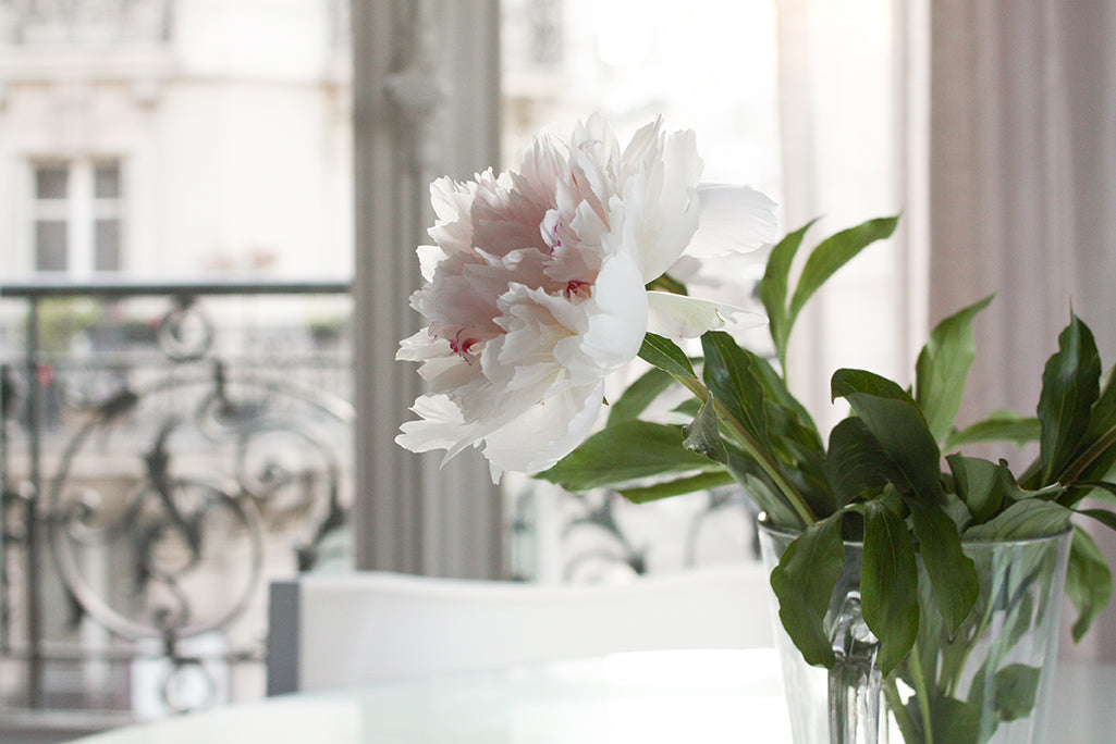 Evening light in the Paris Apartment - Every Day Paris