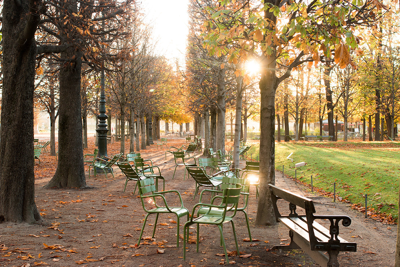 Autumn Evening Light in The Tuileries - Every Day Paris