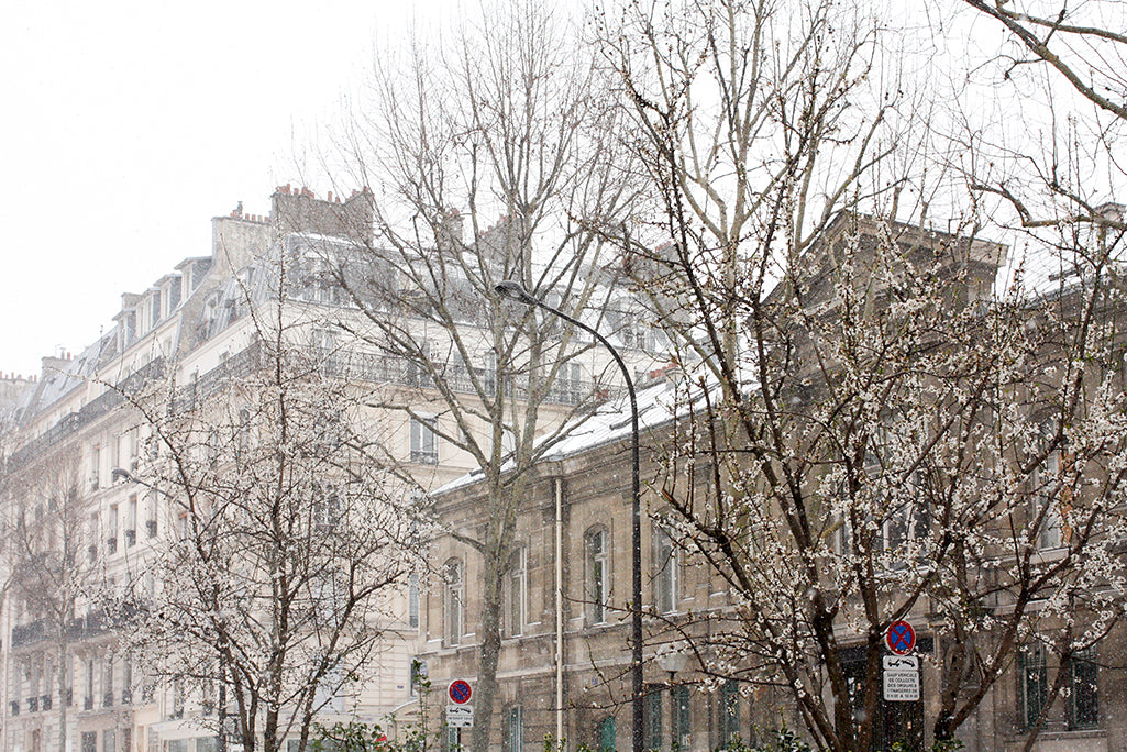 Paris Under the Snow - Every Day Paris