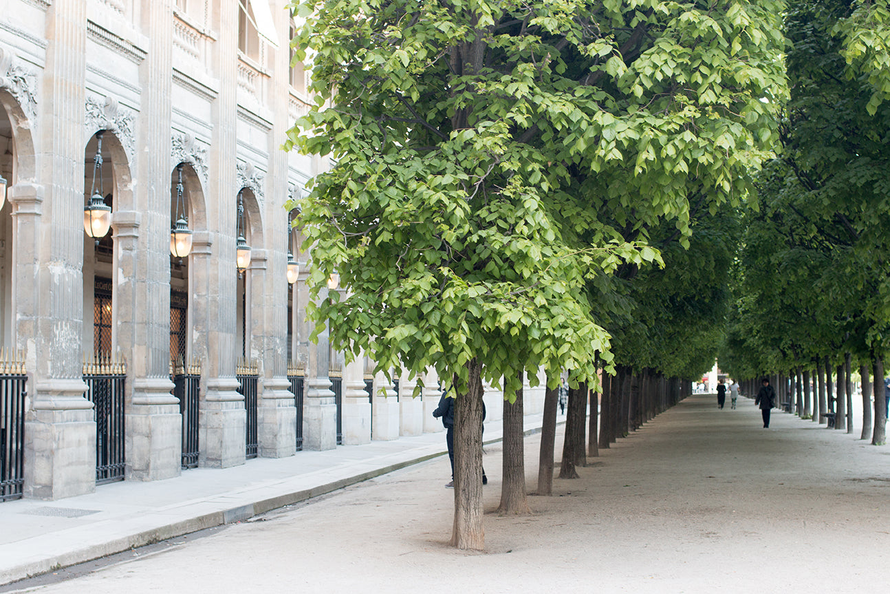 Spring Walk Through Palais Royal - Every Day Paris
