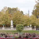Luxembourg Dahlia Fall Gardens - Every Day Paris