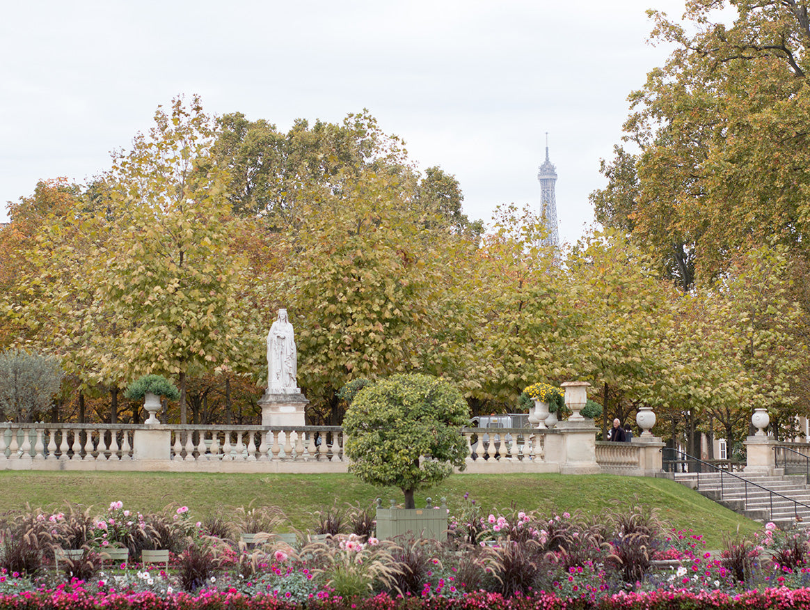 Luxembourg Dahlia Fall Gardens - Every Day Paris