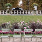 Luxembourg Dahlia Gardens in the Fall - Every Day Paris