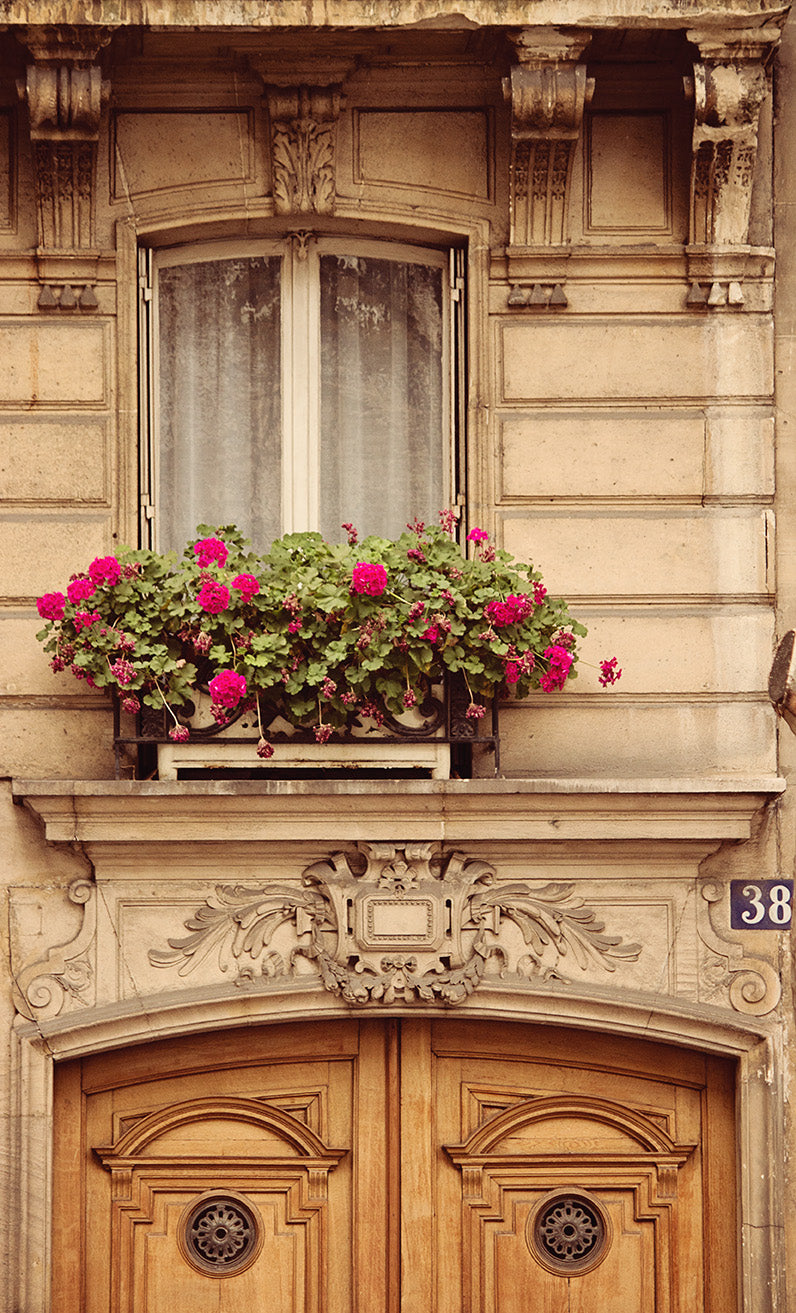 38 Boulevard Saint Germain - Every Day Paris
