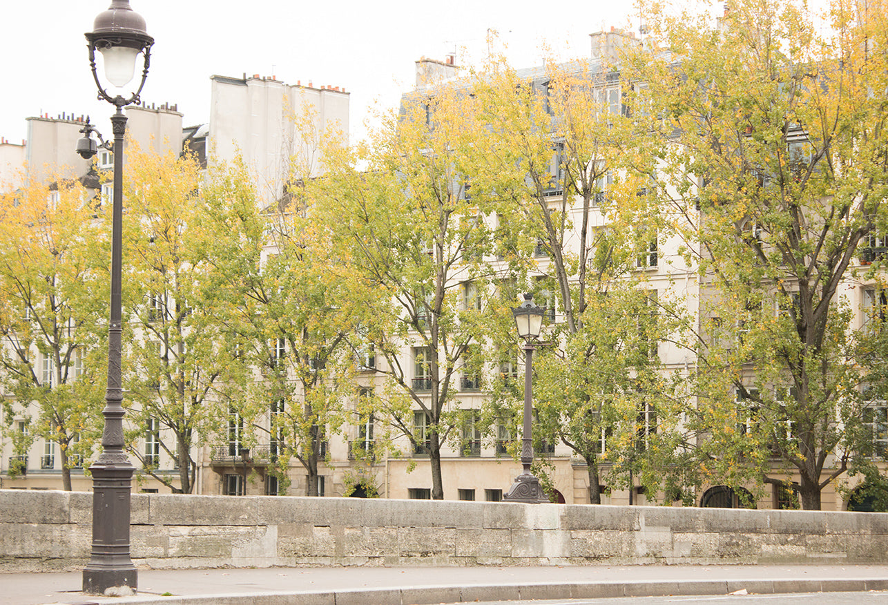 Fall Colors on The Seine - Every Day Paris