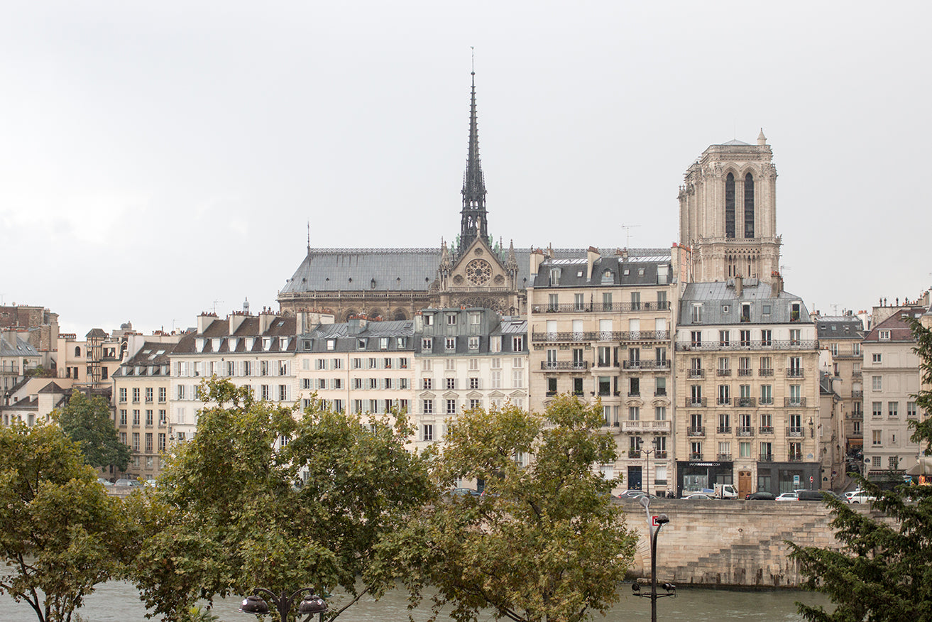 Fall View of Notre Dame Paris France - Every Day Paris