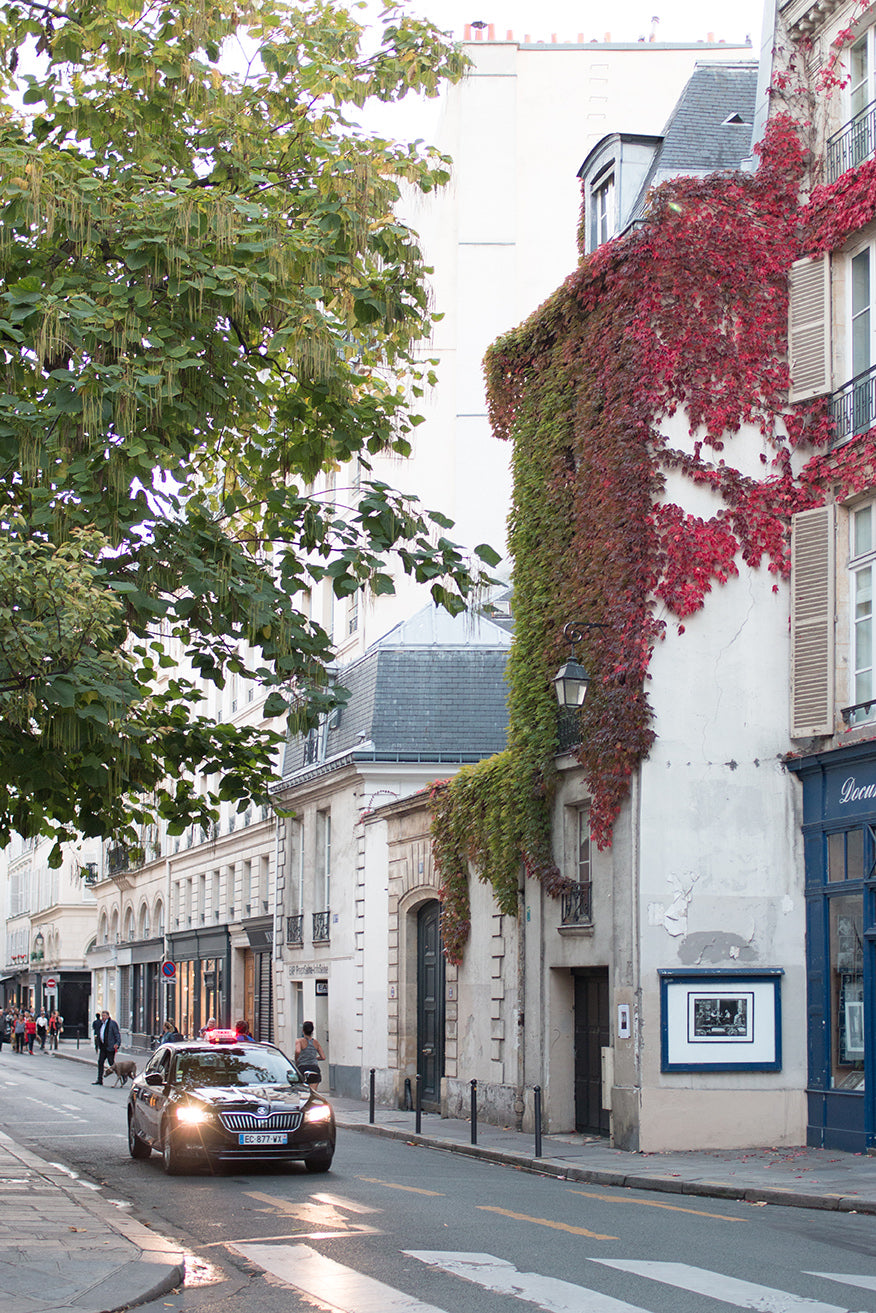Left Bank Autumn Light - Every Day Paris