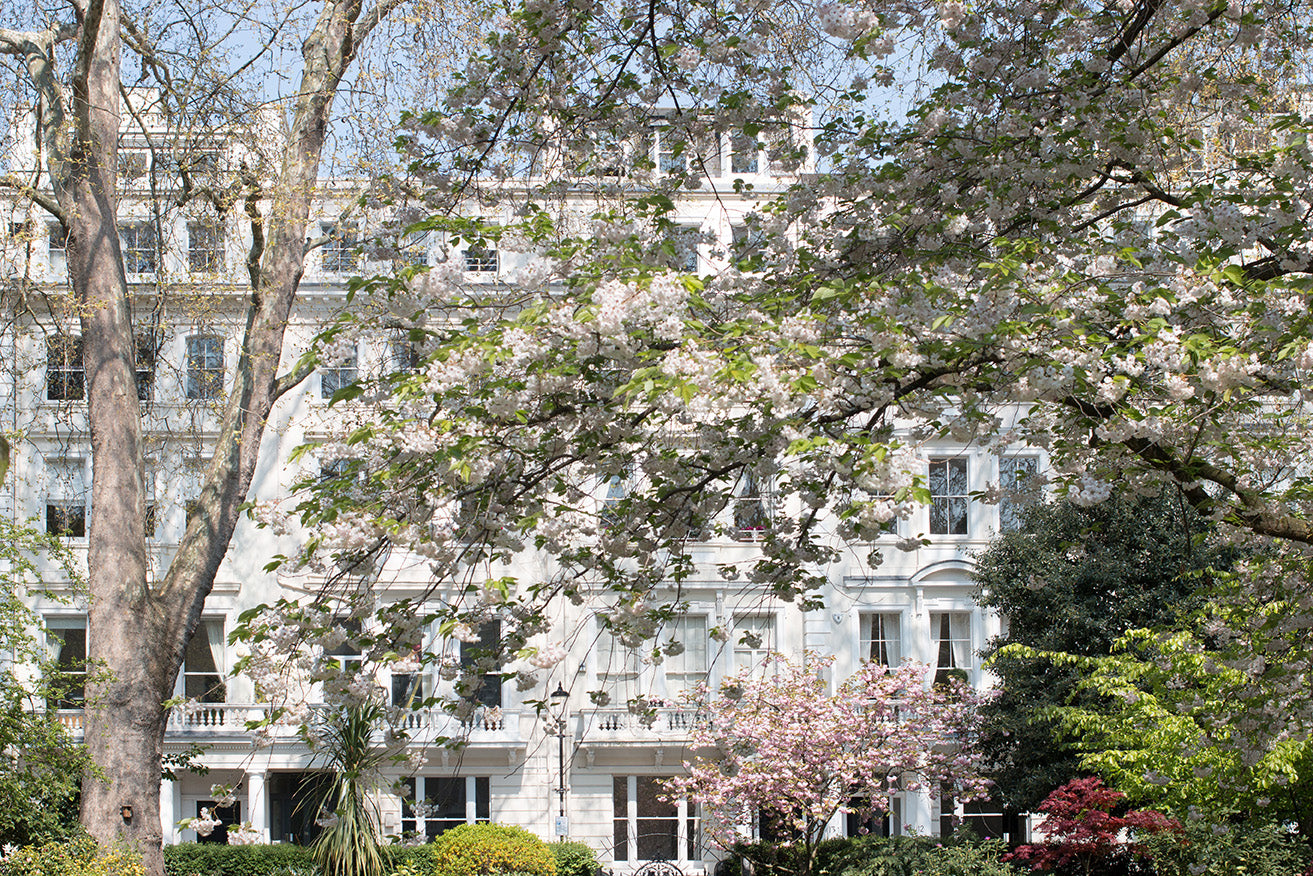 Spring Park Views in London - Every Day Paris