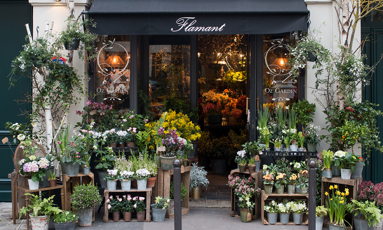 Left Bank Flower Shop in Paris - Every Day Paris