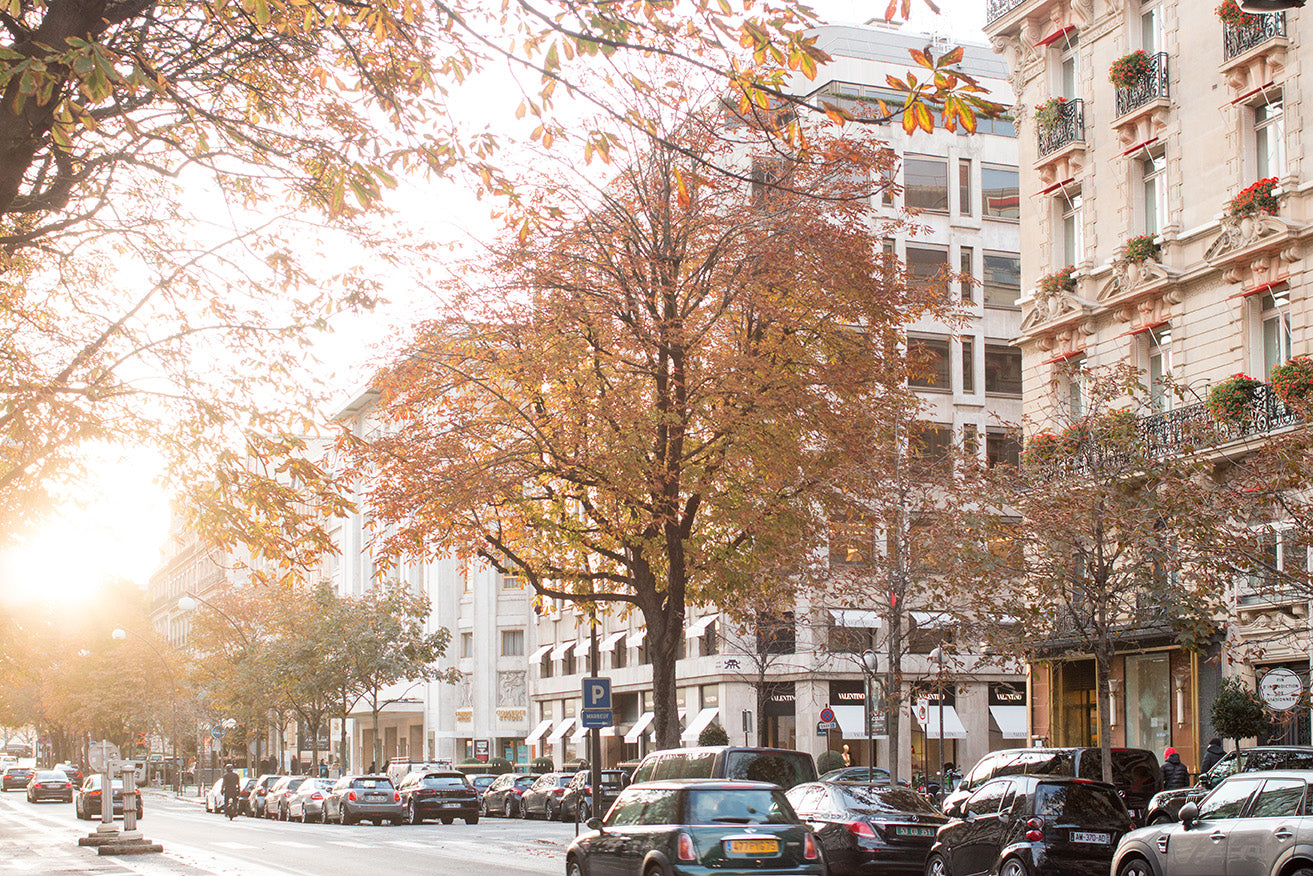 Chasing light on the Right Bank - Every Day Paris