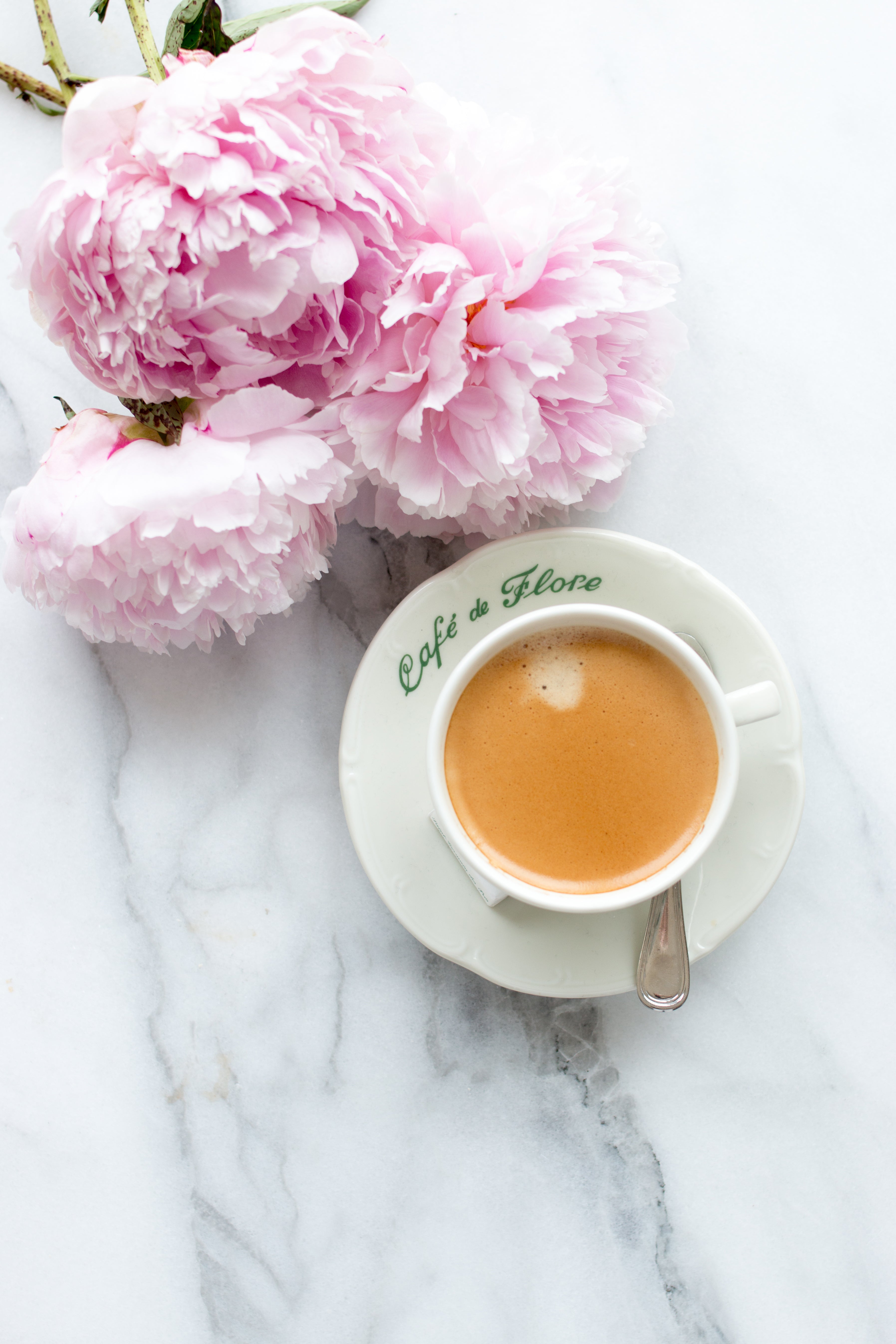 Paris Peony Print Set - Every Day Paris