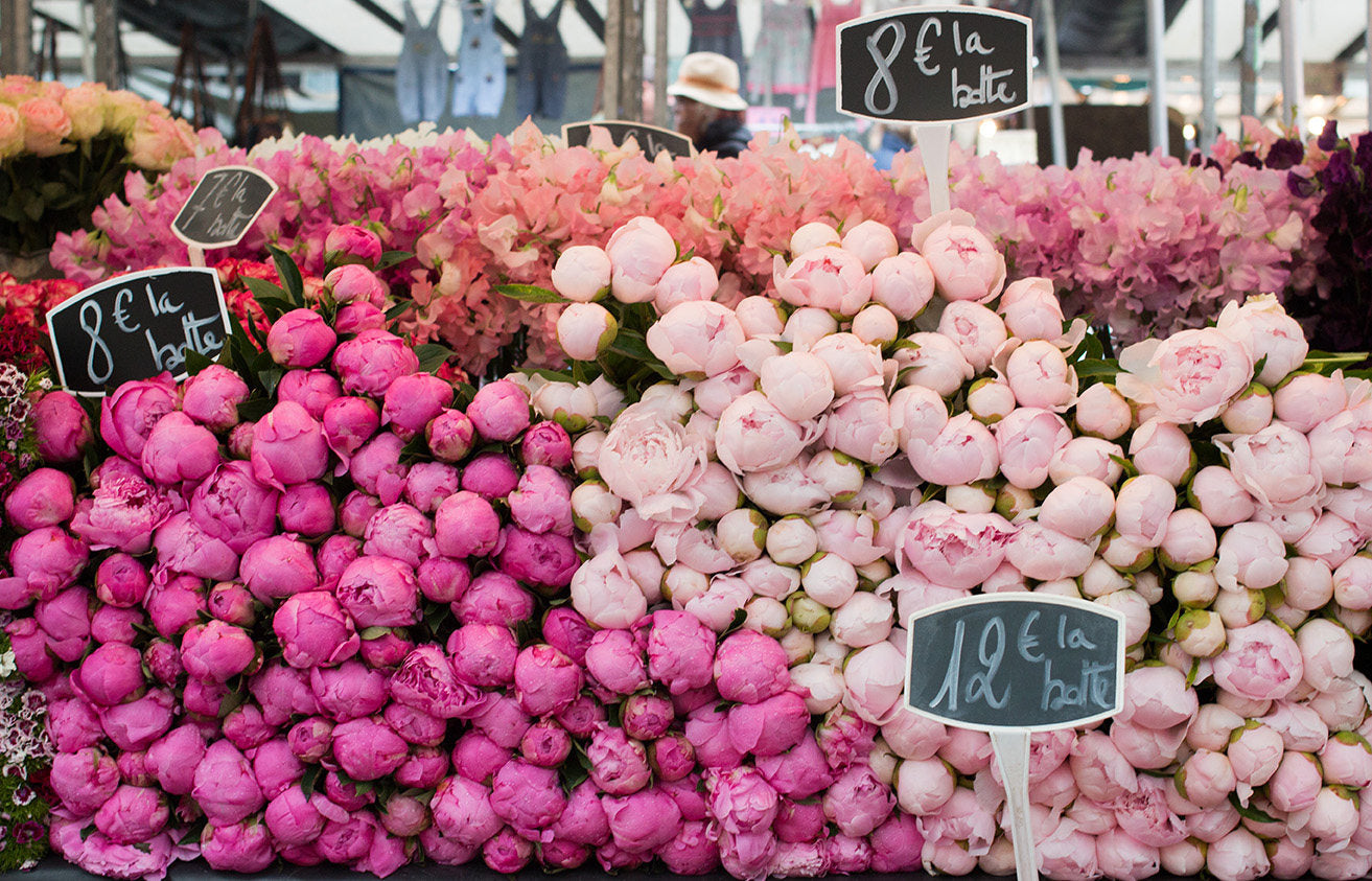 Paris Pink Peonies - Every Day Paris
