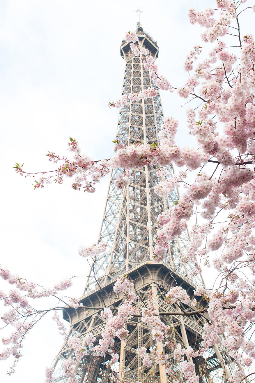 April in Paris - Every Day Paris
