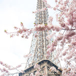 April in Paris - Every Day Paris