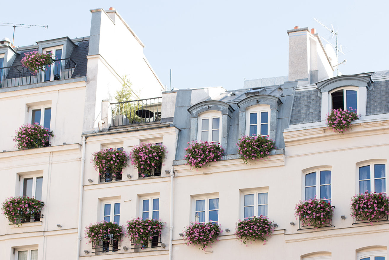 Flower Balconies on St Germain de Près - Every Day Paris