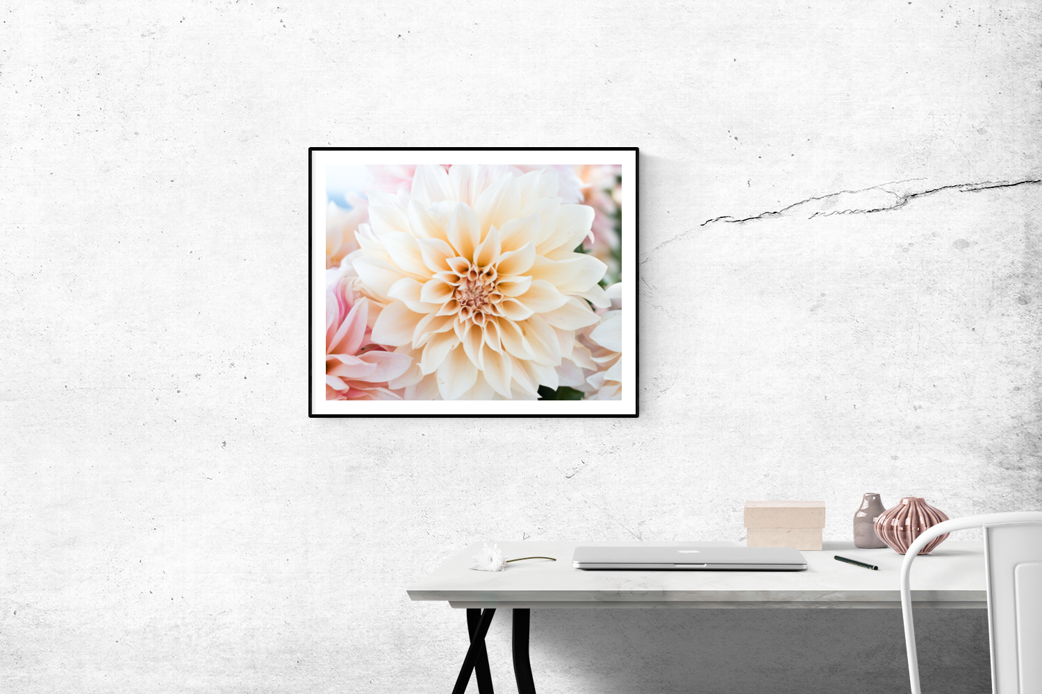 Baby Pink and Cream Dahlia - Every Day Paris
