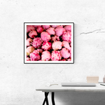 Pink Peonies in Southern France - Every Day Paris