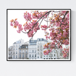 Seine Cherry Blossoms in Bloom - Every Day Paris