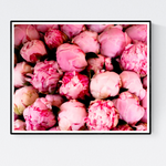 Pink Peonies in Southern France - Every Day Paris