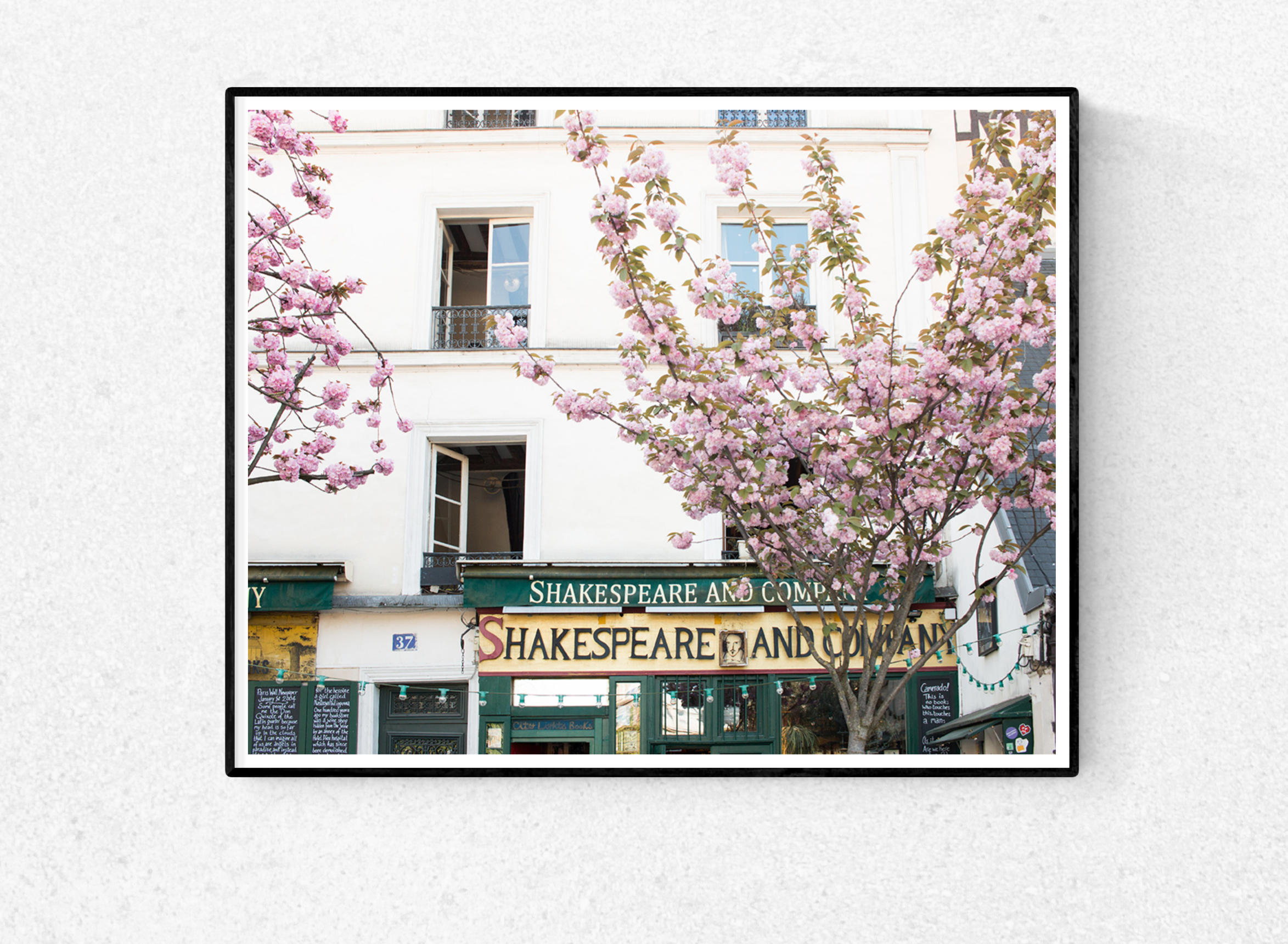 Cherry Blossoms at Shakespeare and Company - Every Day Paris