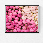Peony Season in Paris - Every Day Paris