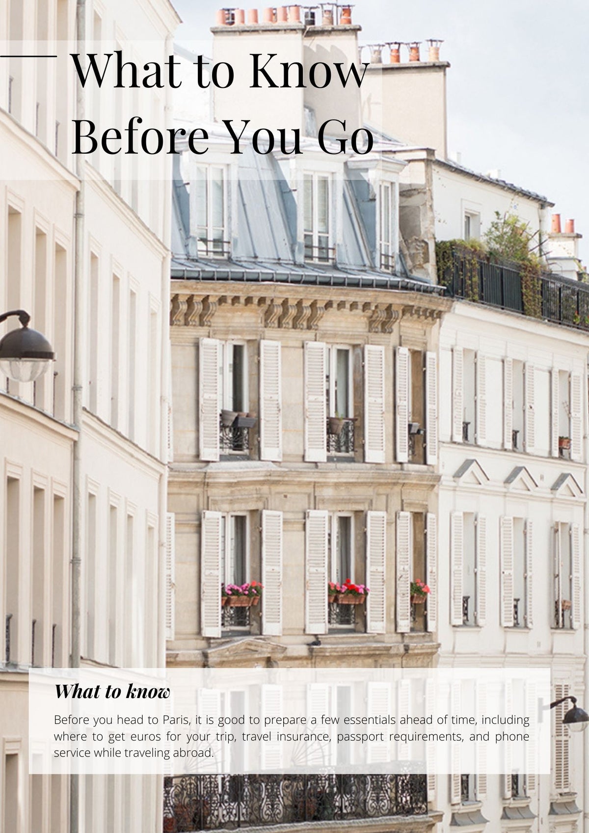 The Paris Guide 2024 PDF Digital Copy