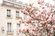 Spring in Paris