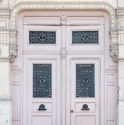 Paris Doors