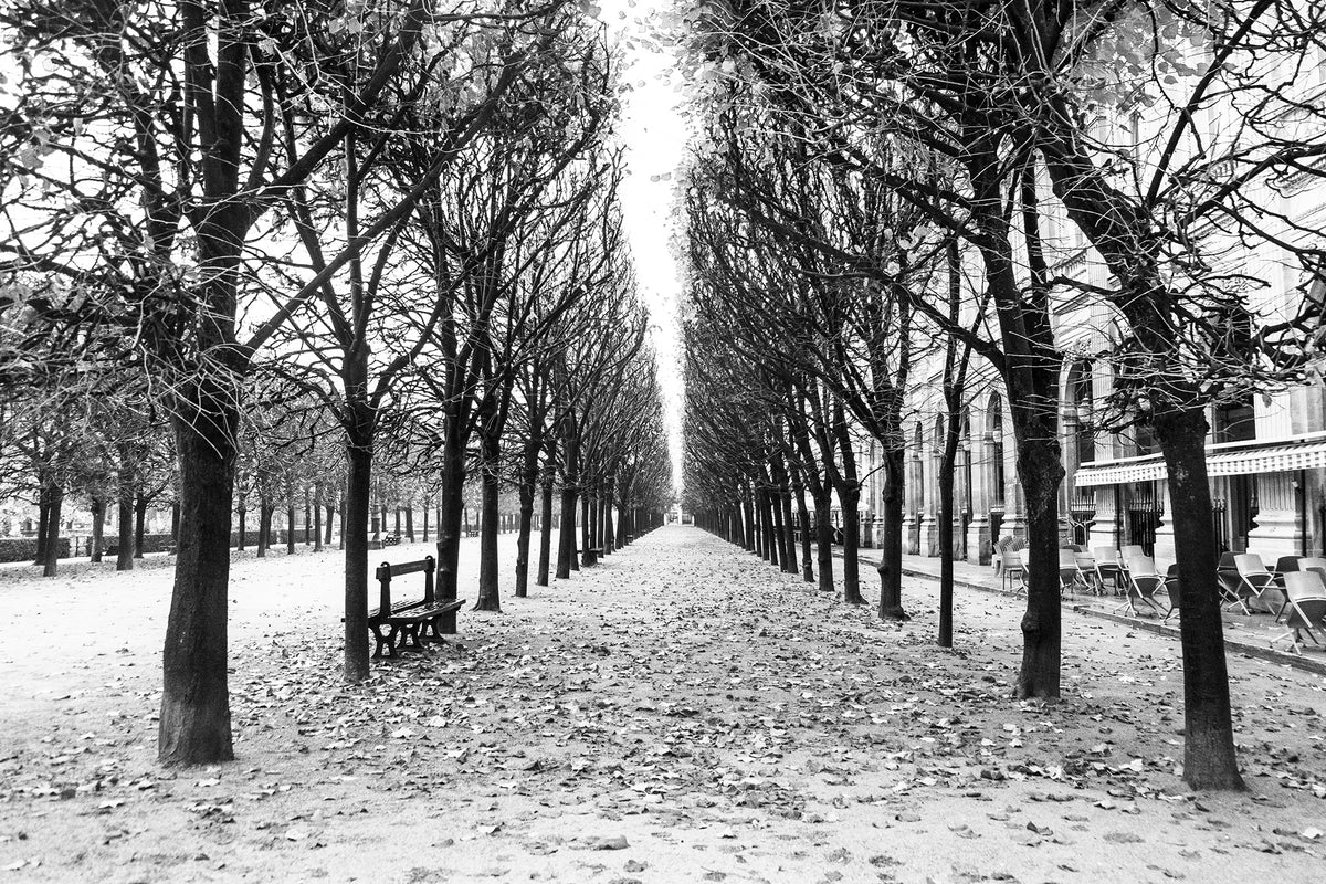Rainy Palais Royal in Black and White