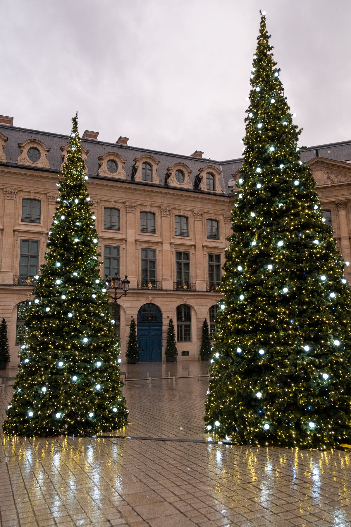 Christmas Trees in Place Vendome Paris