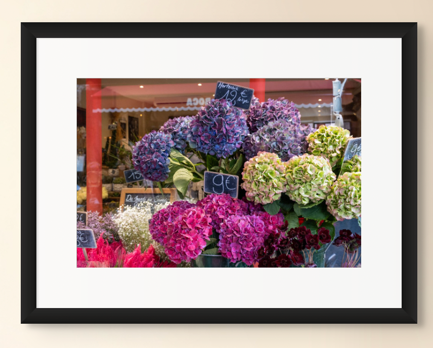 Fall Hydrangeas in Paris