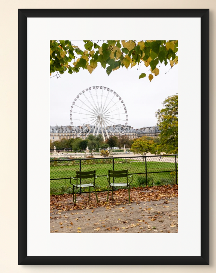 Fall Tuileries Gardens Late October