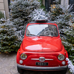 Small red car with 'Merci' license plate parked among snow-covered trees.
