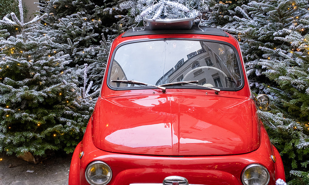 Small red car with 'Merci' license plate parked among snow-covered trees.