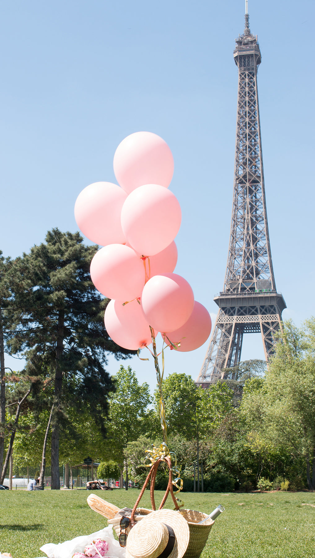 Eiffel Tower Pink Balloons Picnic in Paris