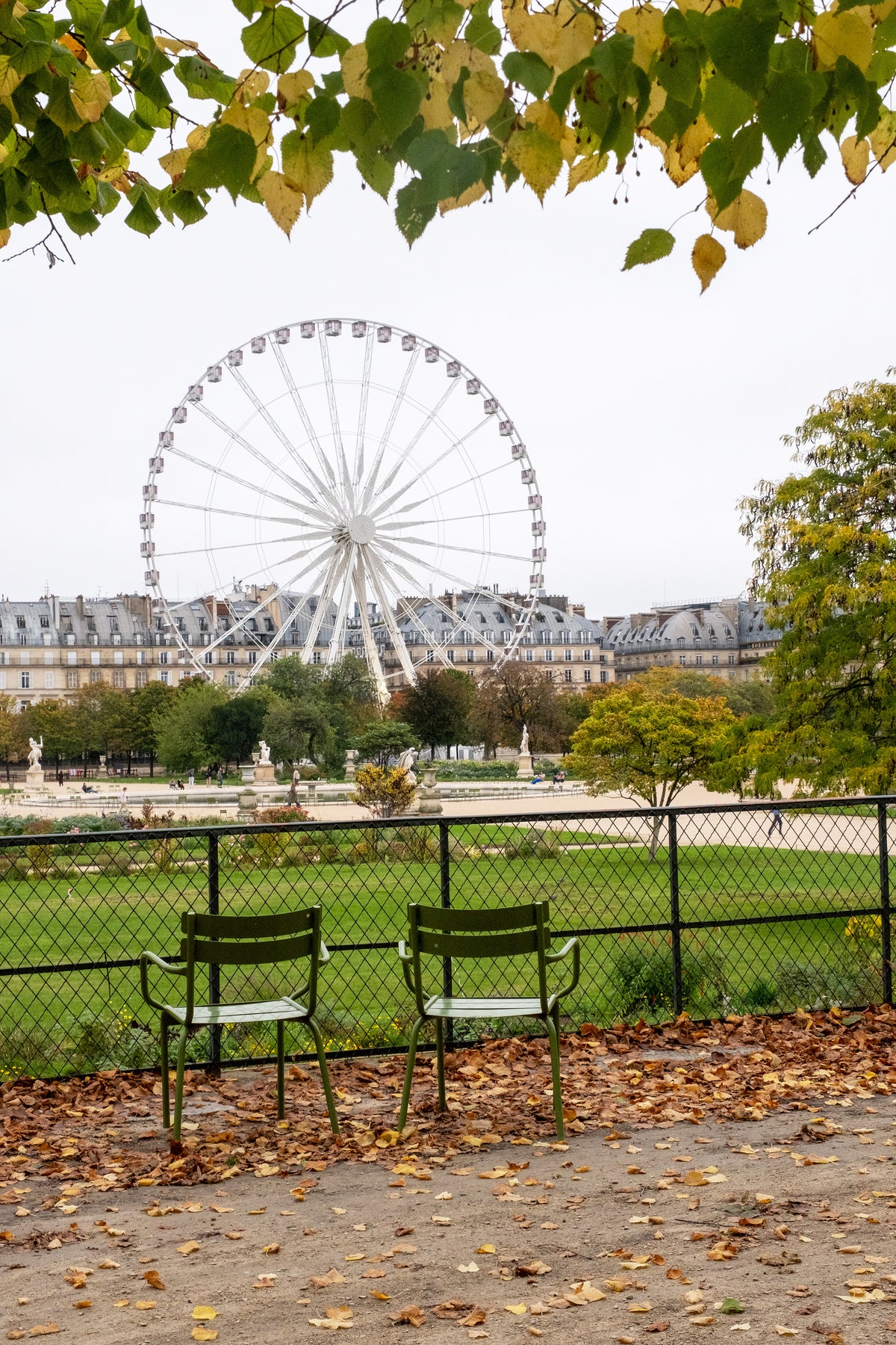 Fall Tuileries Gardens Late October