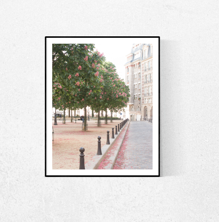 Spring in Place Dauphine - Every Day Paris 