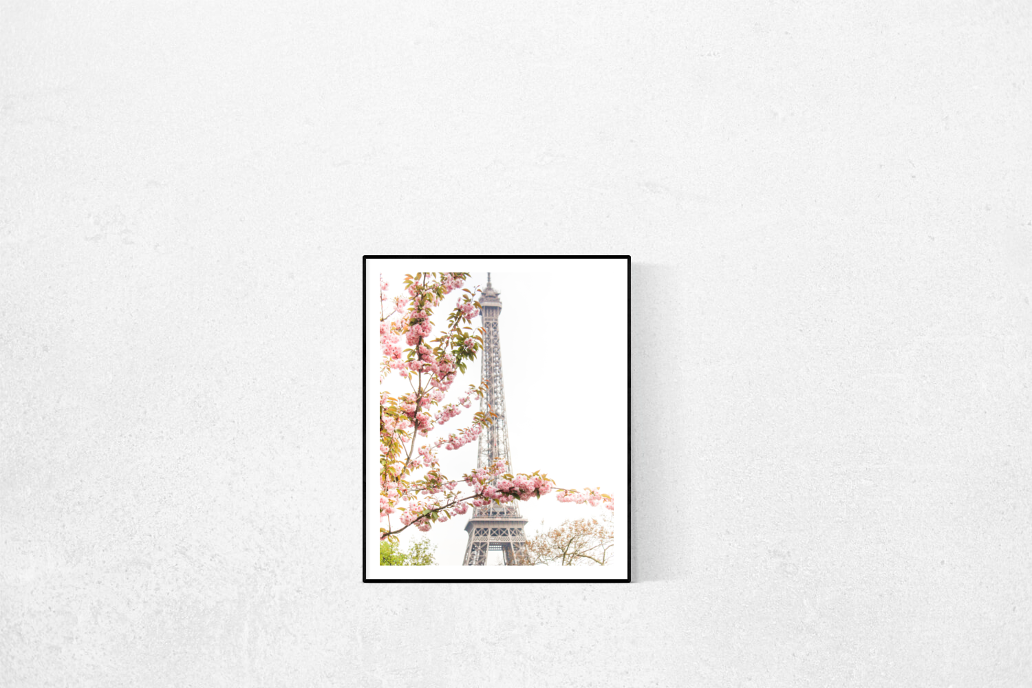Pink Cherry Blossoms at The Eiffel Tower - Every Day Paris 