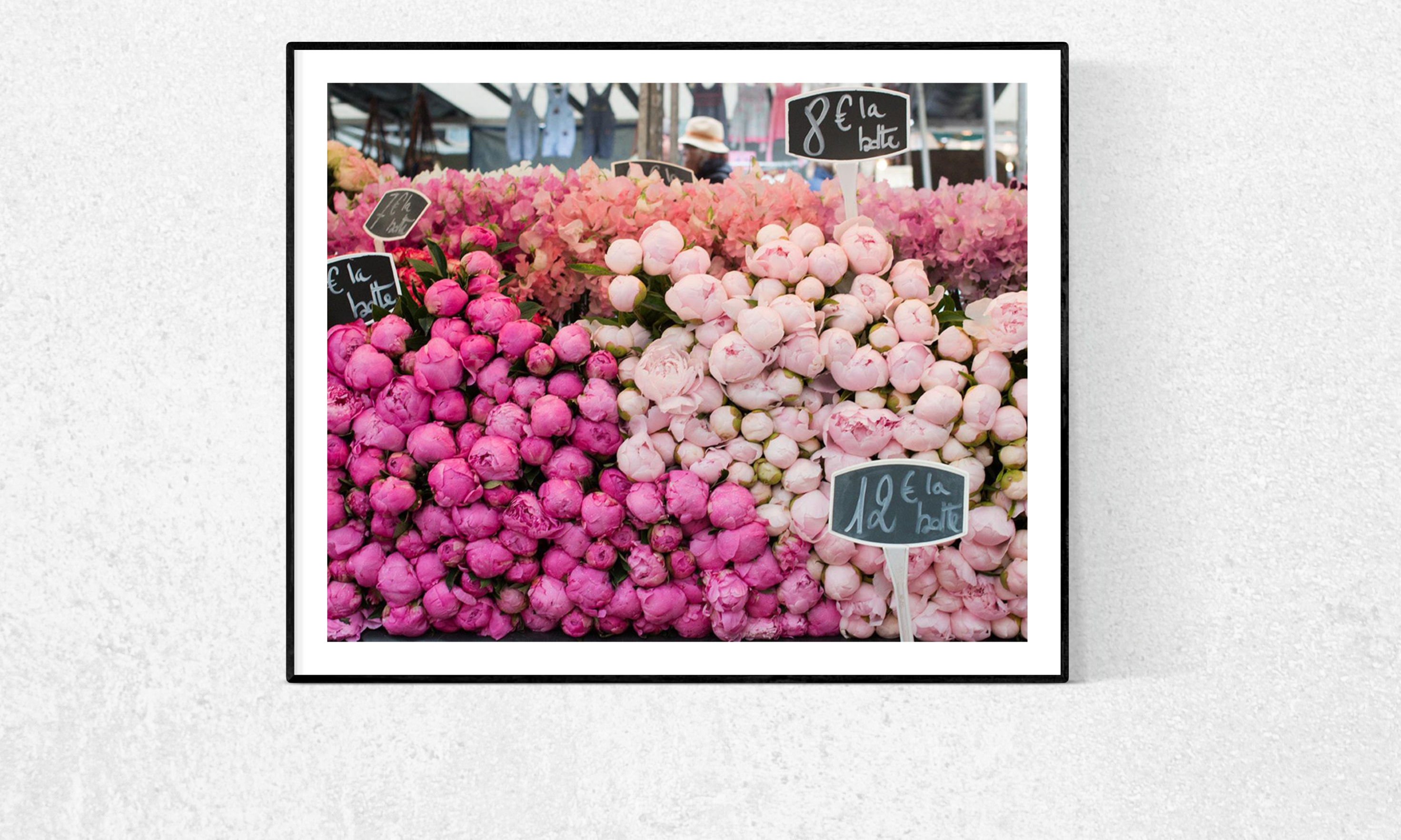 Paris Pink Peonies - Every Day Paris 